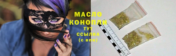 гашик Мегион