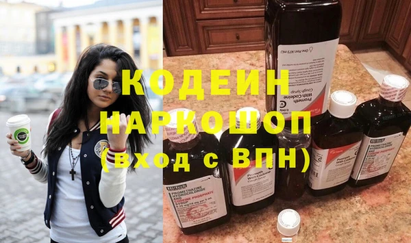 гашик Мегион