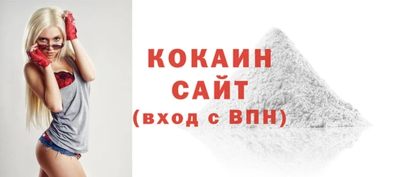 гашик Мегион