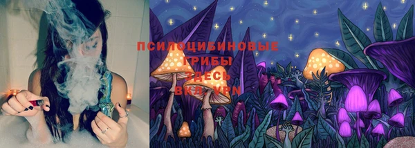 apvp Медвежьегорск