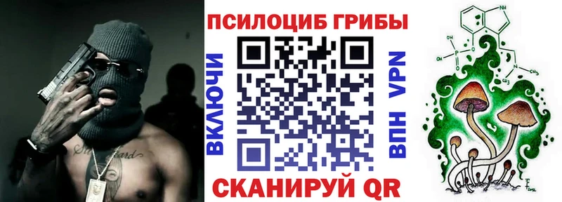Псилоцибиновые грибы Cubensis Нальчик