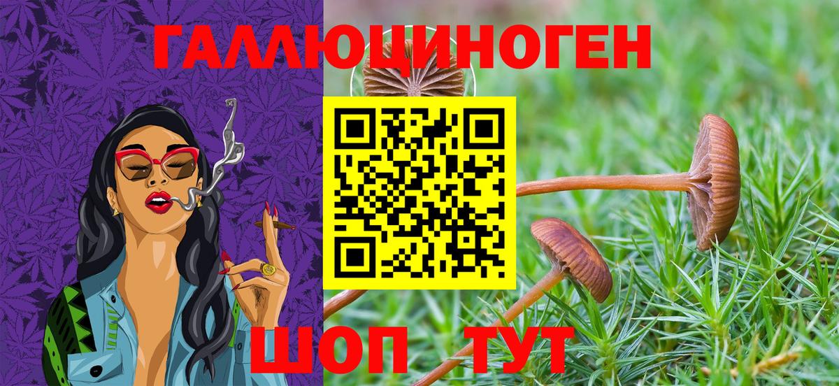 Нальчик  Псилоцибиновые грибы Cubensis  Вход с VPN 