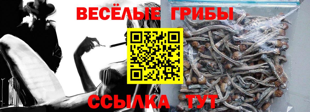 Галлюциногенные грибы Cubensis Нальчик